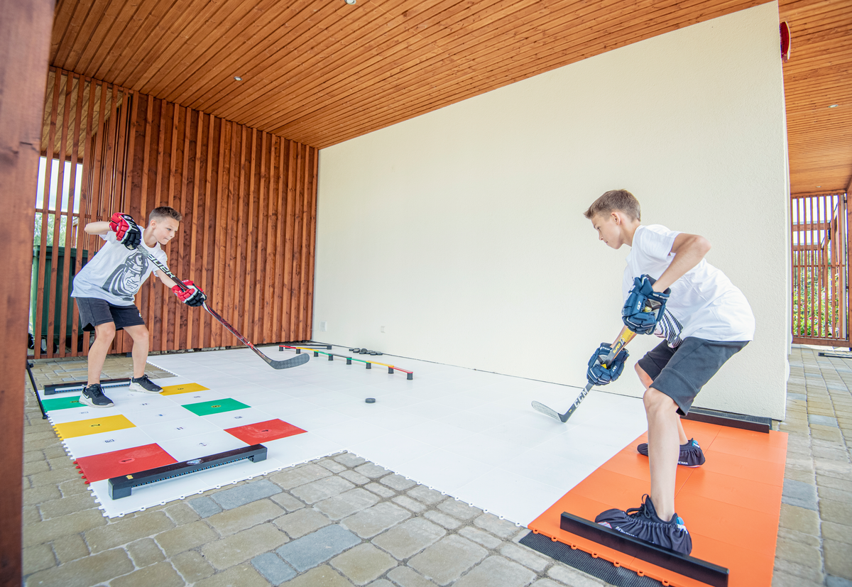 Hockey Training Zone for Professionals